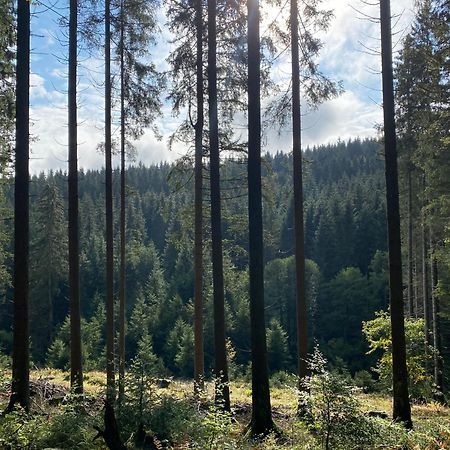 Der Schoene Asten - Resort ヴィンターベルク エクステリア 写真